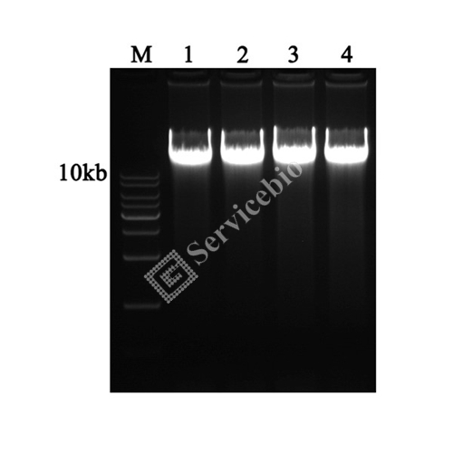 1607928258185735.jpg 355c312b14008da275550dc2e13689e4.jpg