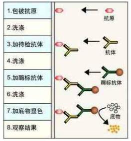 1607929540167677.jpg QQ截图20201214150533.jpg